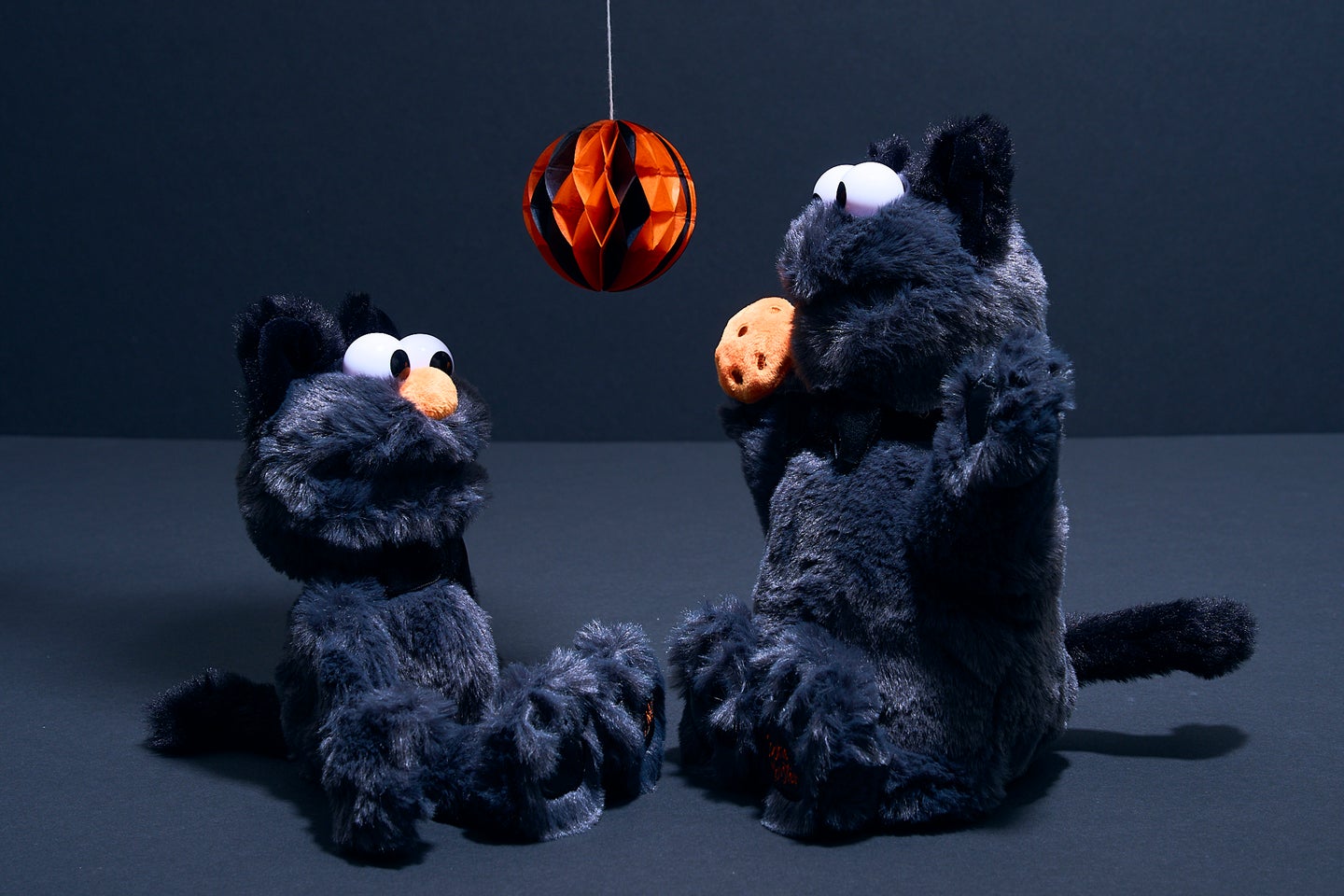 <p>ハロウィン限定のエルモとクッキーモンスターのぬいぐるみ。黒猫の仮装で、オレンジの鼻と足裏の刺繍がアクセント。ふわふわの手触りで、インテリアやギフトに最適。</p>